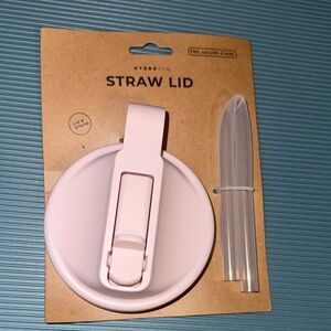 HydroJug Light Pink Straw Lid Set